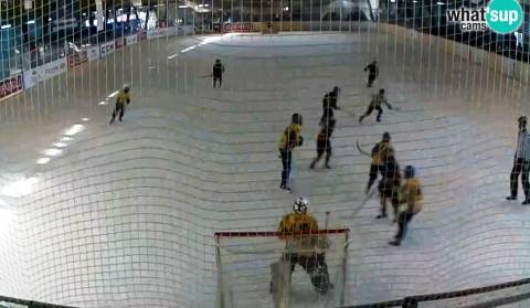 Hokej na ledu – turnir – Zeleni Pak