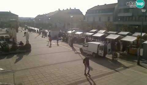 Daruvar – Trg Kralja Tomislava - Proslava Martinja