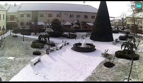 Čazma, snijeg 03.01.2017. Time Lapse