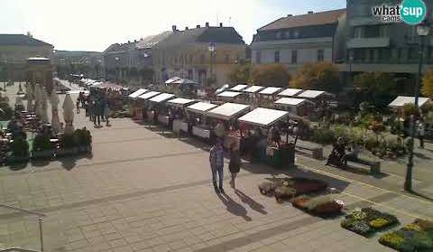 Daruvar - Trg Kralja Tomislava 14.10.2017.