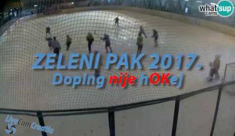 Hokej, turnir - Zeleni pak 2017