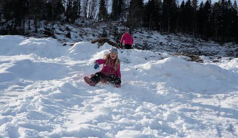 VII. Prvenstvo grada Delnica u sanjkanju jednosjeda i dvosjeda
