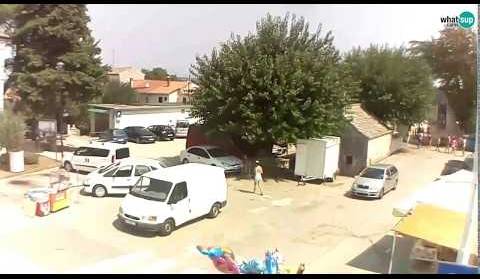 Barban  - 19.08.2018.  43. Trka na prstenac