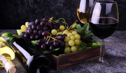 The best wines of Dalmatia