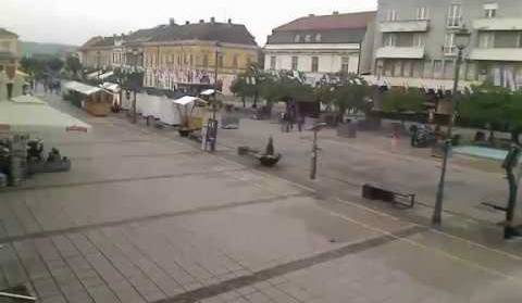 Dani piva i sajam cvijeća Daruvar - 18.05.2019. Lidija Bačić