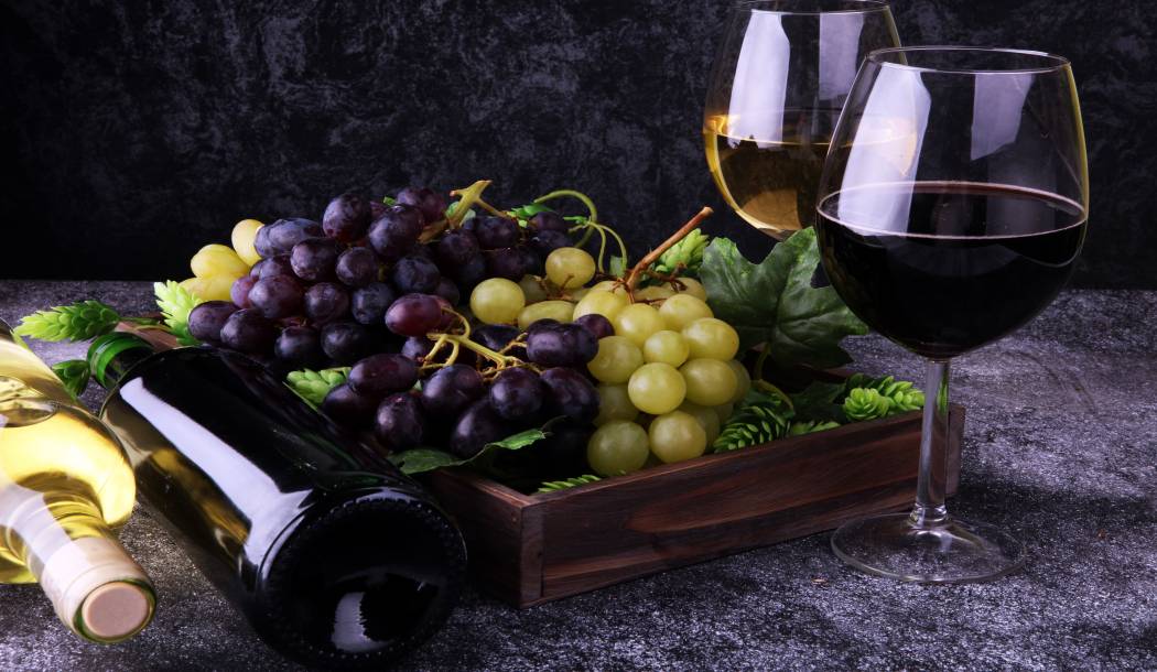 Vinistra 26. Međunarodna izložba vina i vinarske opreme