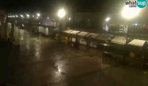 Martinje u Daruvaru, 09.11.2019.