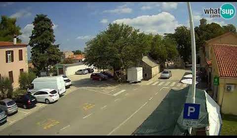 Barban, Trka za Viticu - 22.08.2020.