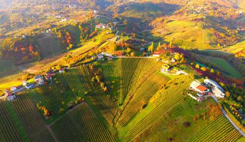 Plešivička vinska cesta – Toskana u malom