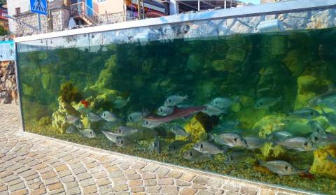 Outdoor marine aquarium