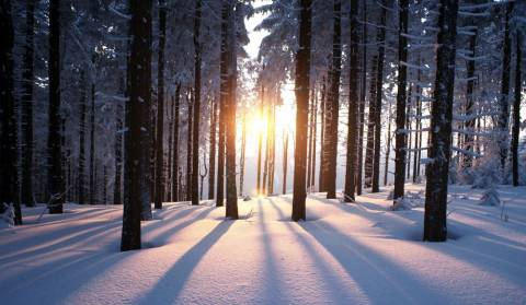 Winter solstice - the first day of winter