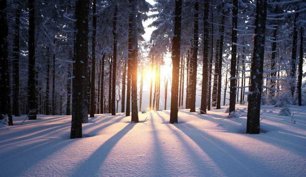 Zimski solsticij  - prvi dan zime