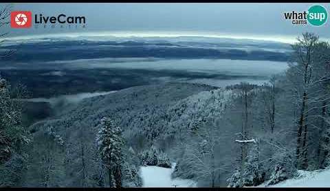 Snijeg na Sljemenu, otkaz utrke pogled iz svih kuteva kamera, 06.01.2022.