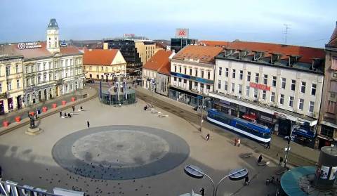 Osijek live!