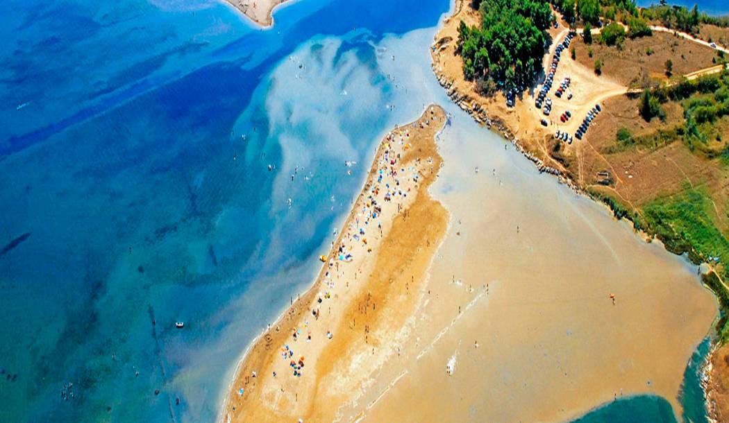 Pronađene dvije žive plemenite periske pokraj Kraljičine plaže u Ninu