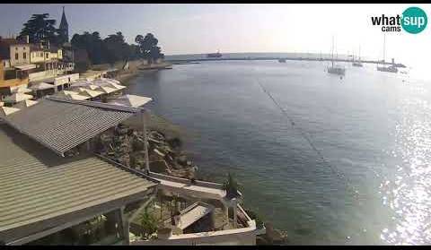 Porporela - Novigrad, Live Cam Croatia
