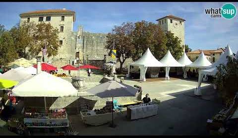 Naj koza Istre - Festival sira, Live Cam Croatia