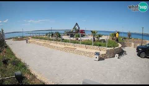 Zelana điga - sadnja palmi i maslina - Live Cam Croatia