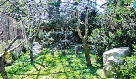 Supovi ZOO Zagreb