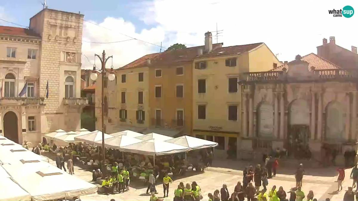 Zadar People's Square, City Lodge, Zadar , [ Right now, LIVE