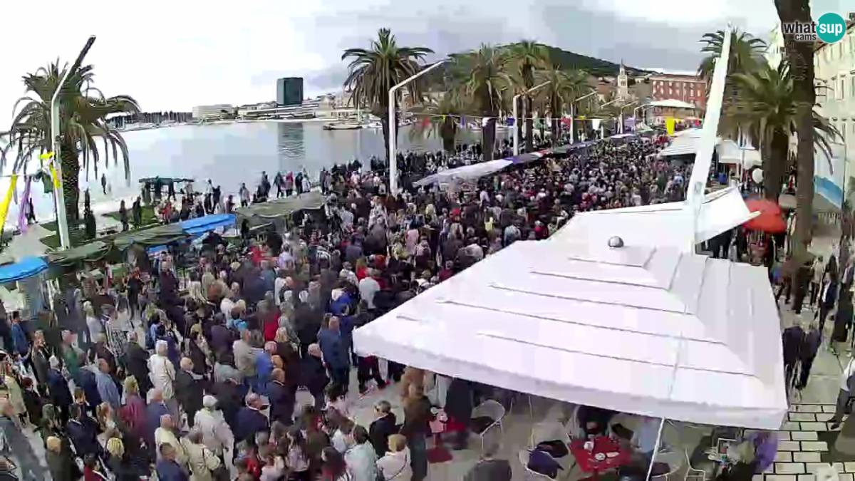 Split Riva of Croatian Revival webcam split, cam Split