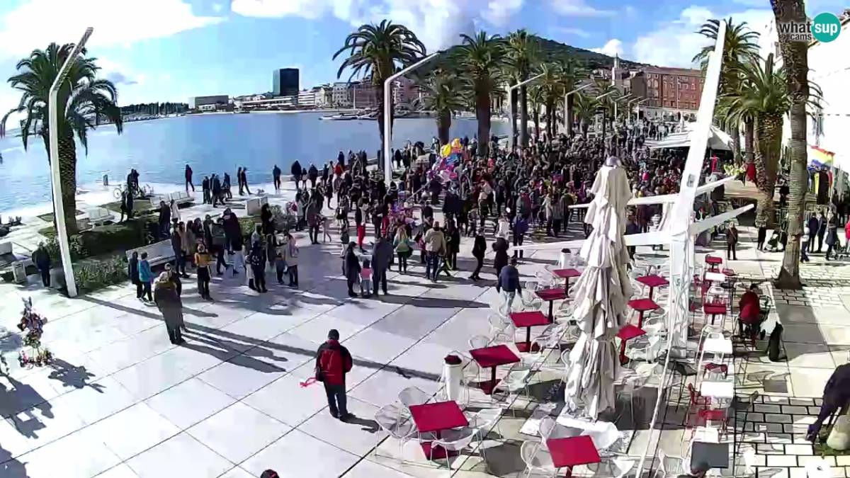 Split Riva of Croatian Revival webcam split, cam Split