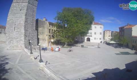 Zadar - Trg Petra Zoranica