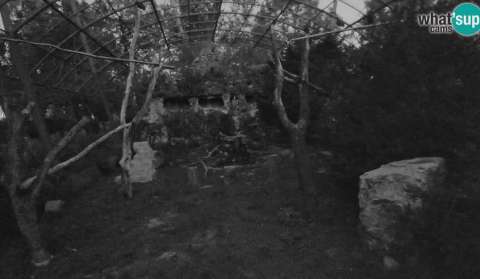 Timelapse